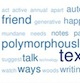 Tag Cloud Thumbnail