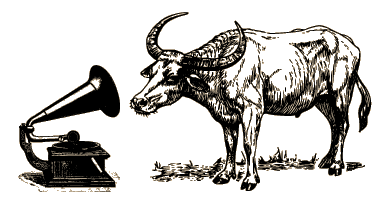 Longhorn listening to gramophone