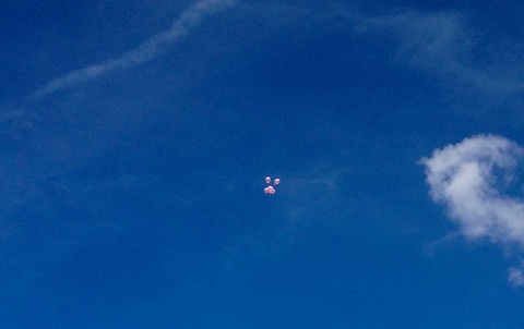 five pink balloons being let go