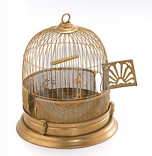 Empty open bird cage