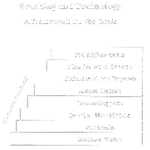 [Bottom-up Graph]