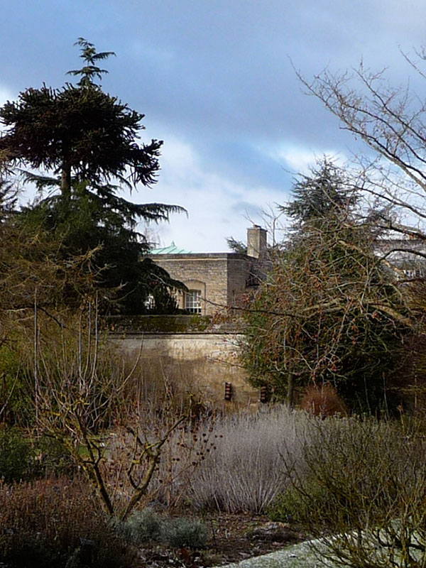 A house and foliage