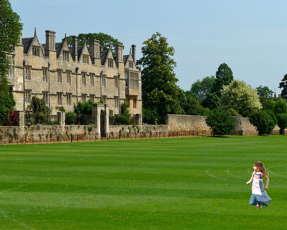 A girl in a blue dress (Alice) is on the lawn