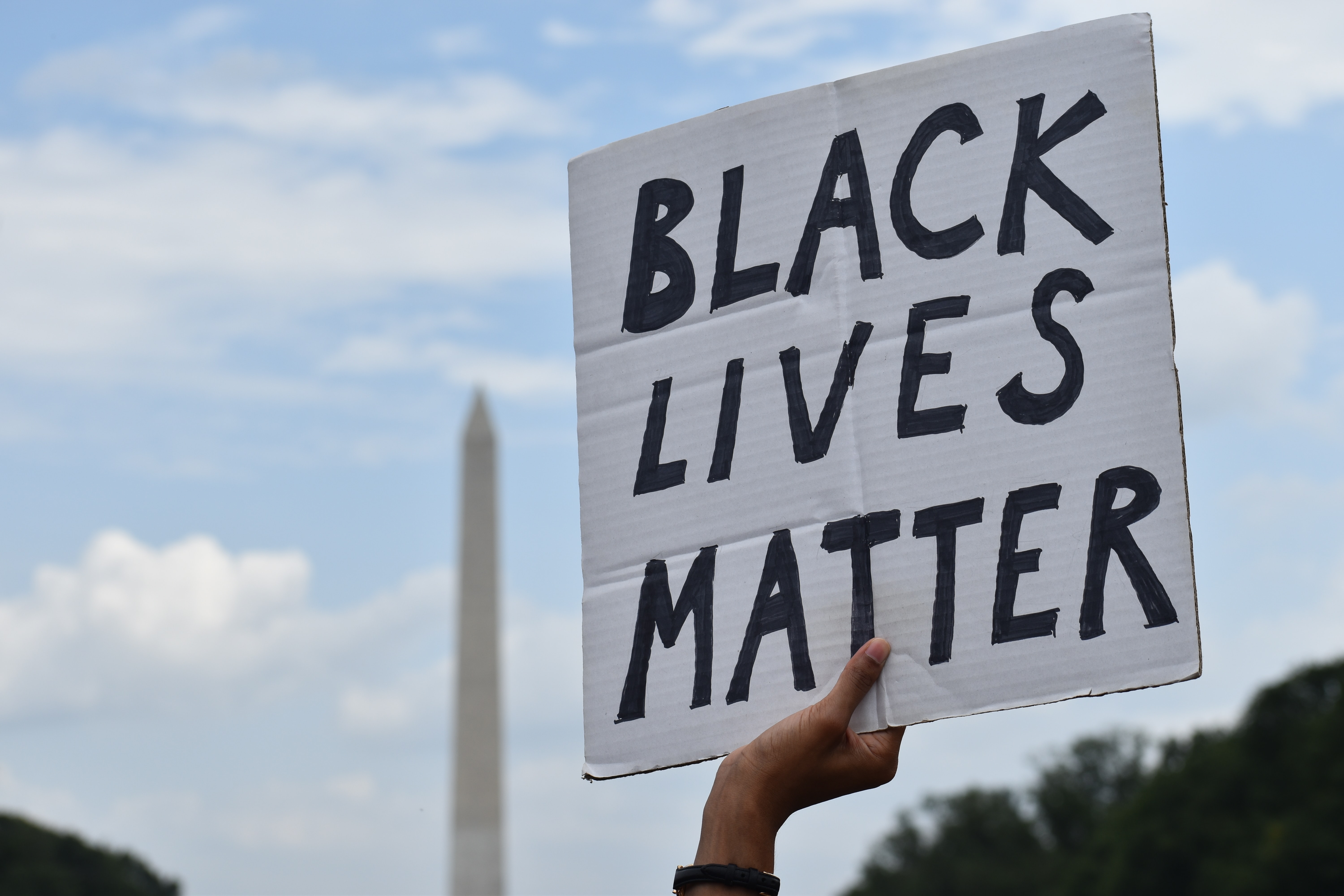 Homemade sign from the March on Washington with Washington Monument in background