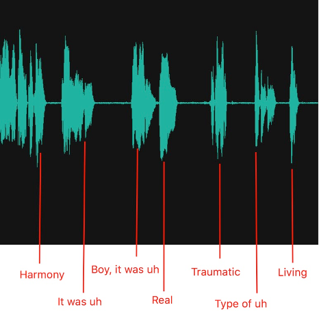 Audio waves of Watanabe's narrative